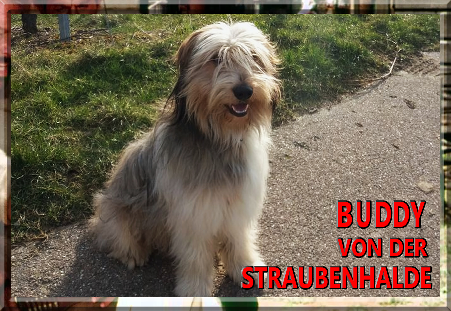 Wäller von der Straubenhalde
